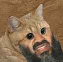 16 KB