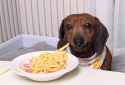 141 KB