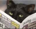 40 KB