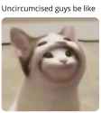 69 KB