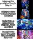 169 KB