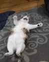 807 KB