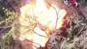 3.72 MB