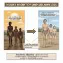 87 KB
