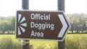 55 KB