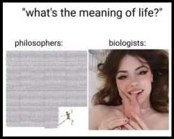57 KB