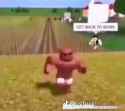 55 KB