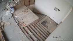 1.42 MB