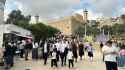576 KB
