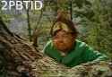 1004 KB