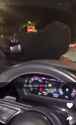3.07 MB