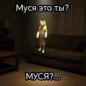 79 KB