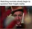 43 KB