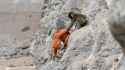 1.41 MB