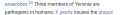 45 KB