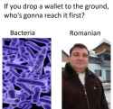 250 KB