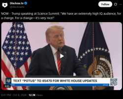 493 KB