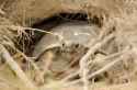 59 KB