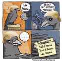 168 KB