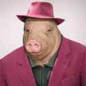 1.2 MB