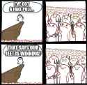 111 KB
