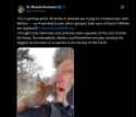 203 KB