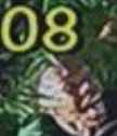 296 KB