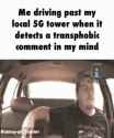 1.23 MB