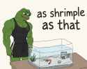 1.44 MB