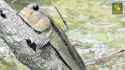 172 KB