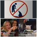 73 KB