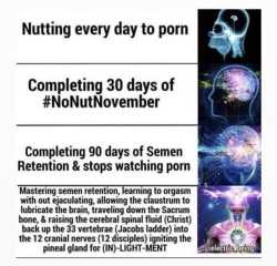 146 KB