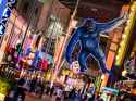 1.07 MB