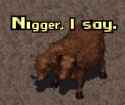 107 KB