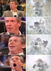 845 KB