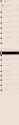 1.67 MB