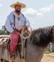 291 KB