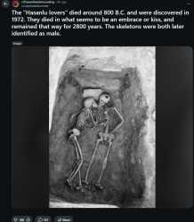 438 KB