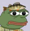142 KB