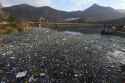 459 KB