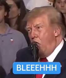 339 KB