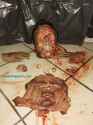 230 KB