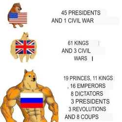 231 KB