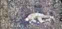 144 KB
