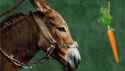 47 KB
