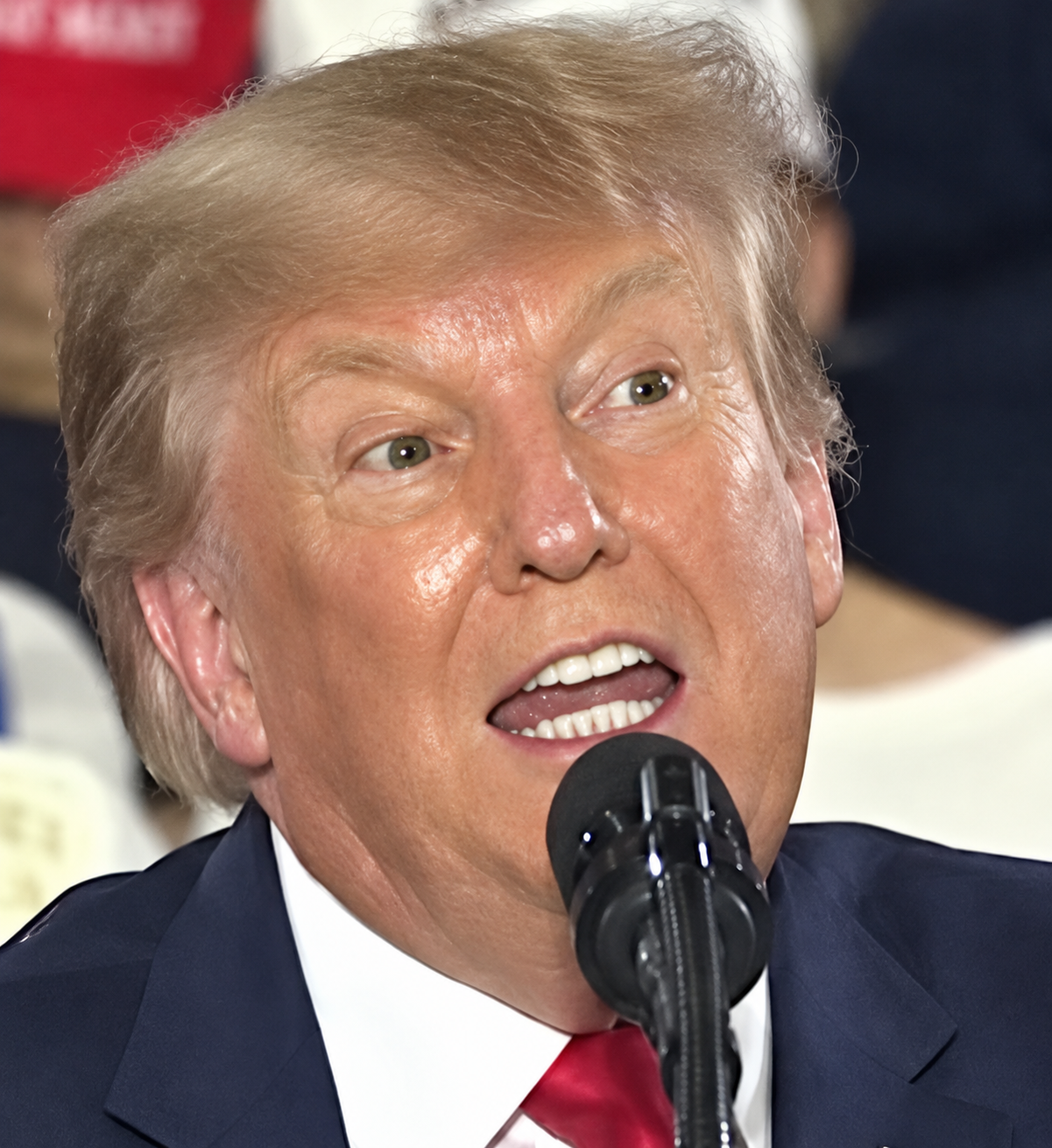 Simian Behavior /pol/ - Trump's vocalizations? - Politically Incorrect - 4chan