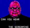 137 KB