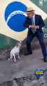 2.95 MB