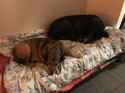 1.89 MB