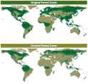 197 KB